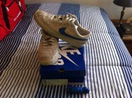 585155.jpeg 585155.jpeg