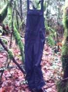 585184.jpeg 585184.jpeg