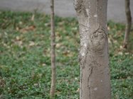 586176.jpeg 586176.jpeg