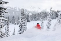 Whistler Blackcomb On Track For A Record-Breaking Snow Base