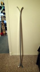 590290.jpeg 590290.jpeg