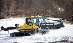 594581.jpeg 594581.jpeg