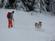Christmas in Rossland TR