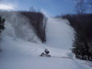 595474.jpeg 595474.jpeg