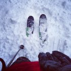 598130.jpeg 598130.jpeg