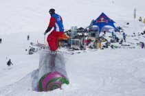 Spring in the Park #I 