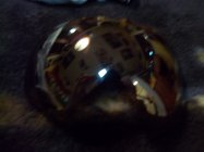 600452.jpeg 600452.jpeg