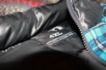 600743.jpeg 600743.jpeg