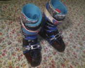 601969.jpeg 601969.jpeg