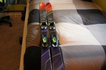 605921.jpeg 605921.jpeg