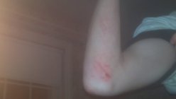 607286.jpeg 607286.jpeg