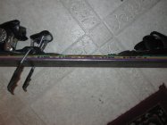 608983.jpeg 608983.jpeg