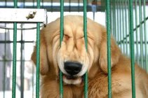 609749.jpeg 609749.jpeg