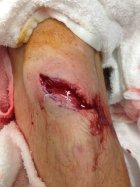 613245.jpeg 613245.jpeg