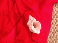 613422.jpeg 613422.jpeg