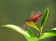 613518.jpeg 613518.jpeg