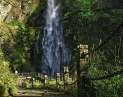 613519.jpeg 613519.jpeg