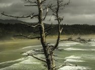 613520.jpeg 613520.jpeg