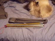 615265.jpeg 615265.jpeg