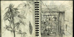 615865.jpeg 615865.jpeg