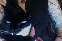 619832.jpeg 619832.jpeg