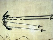 620132.jpeg 620132.jpeg