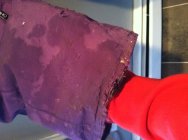 622175.jpeg 622175.jpeg