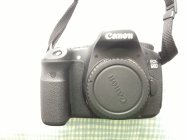 624537.jpeg 624537.jpeg