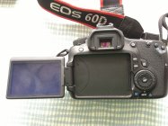 624539.jpeg 624539.jpeg