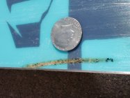 625678.jpeg 625678.jpeg