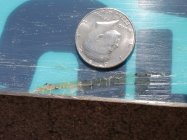 625679.jpeg 625679.jpeg