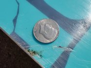 625680.jpeg 625680.jpeg