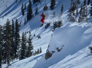 Boston and Back - An Alta Reflection