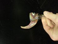 628796.jpeg 628796.jpeg