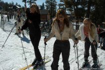 630528.jpeg 630528.jpeg