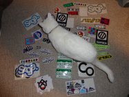 630979.jpeg 630979.jpeg