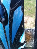 631353.jpeg 631353.jpeg