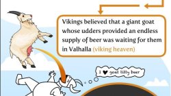 633020.jpeg 633020.jpeg