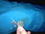 640225.jpeg 640225.jpeg