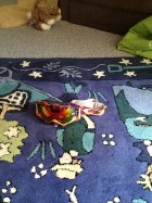 641286.jpeg 641286.jpeg