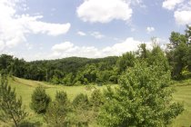 644654.jpeg 644654.jpeg