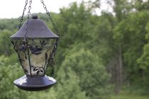 644656.jpeg 644656.jpeg