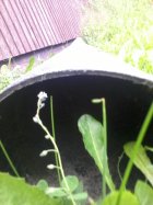 646645.jpeg 646645.jpeg