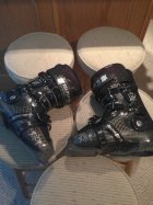 647663.jpeg 647663.jpeg