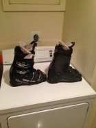 651017.jpeg 651017.jpeg