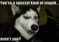 651040.jpeg 651040.jpeg