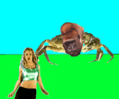 651281.gif 651281.gif