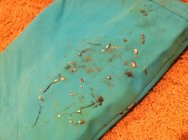 657189.jpeg 657189.jpeg