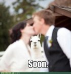 659587.jpeg 659587.jpeg