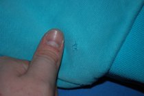 662892.jpeg 662892.jpeg